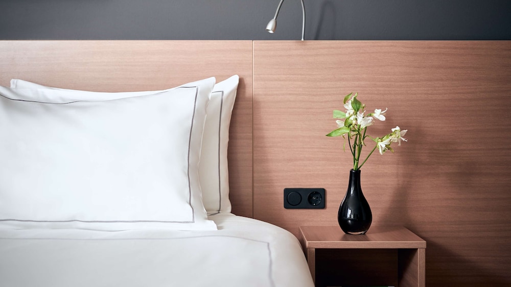 Park Plaza Amsterdam Airport 15/50