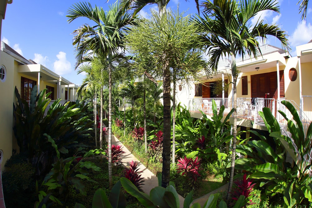 Negril Palms 51/55