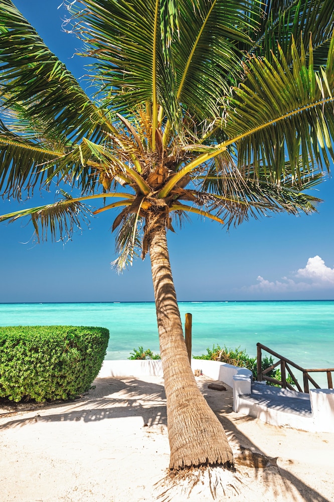 Tanzanite Beach Resort 42/49
