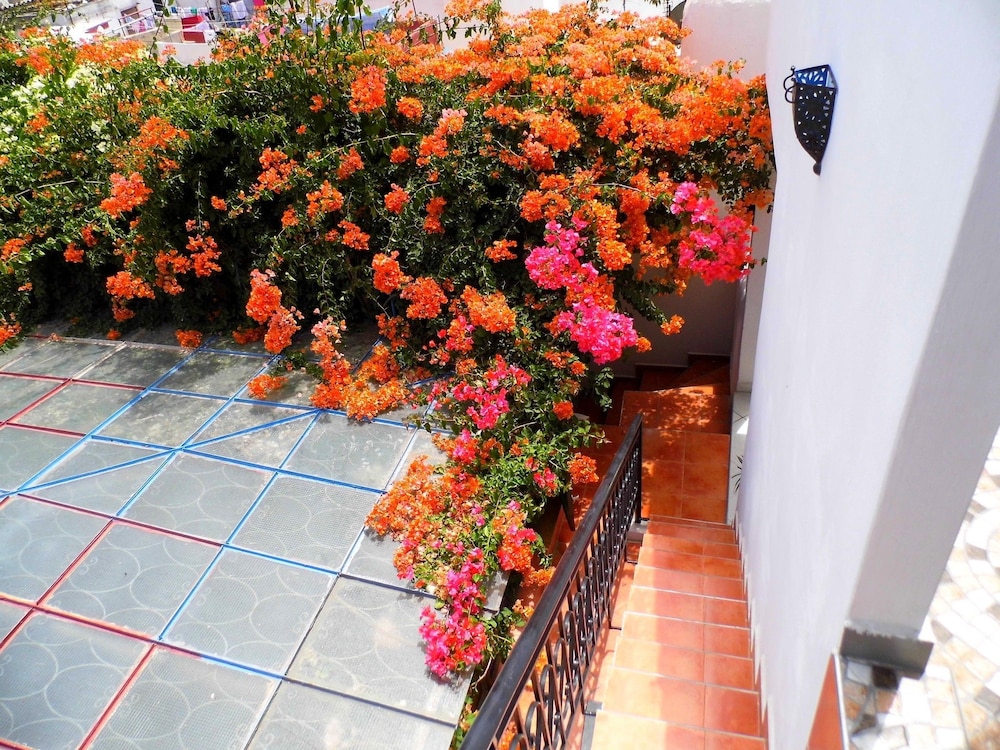 Riad Marlinea 26/50