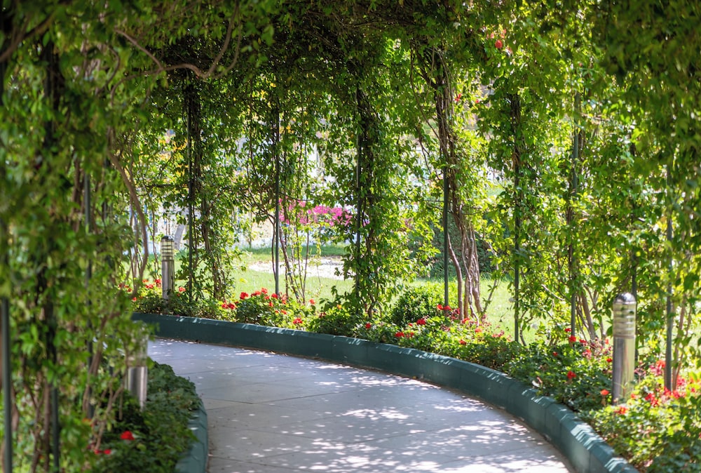 Innvista Hotels Belek 46/50