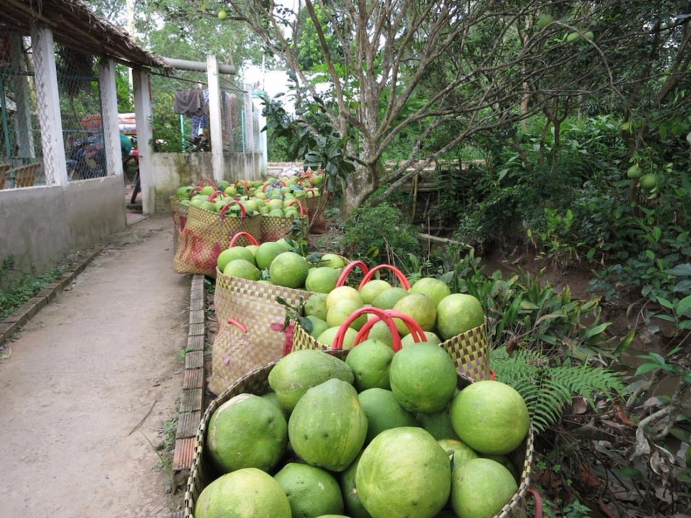 My Hoa Mekong Homestay 27/30