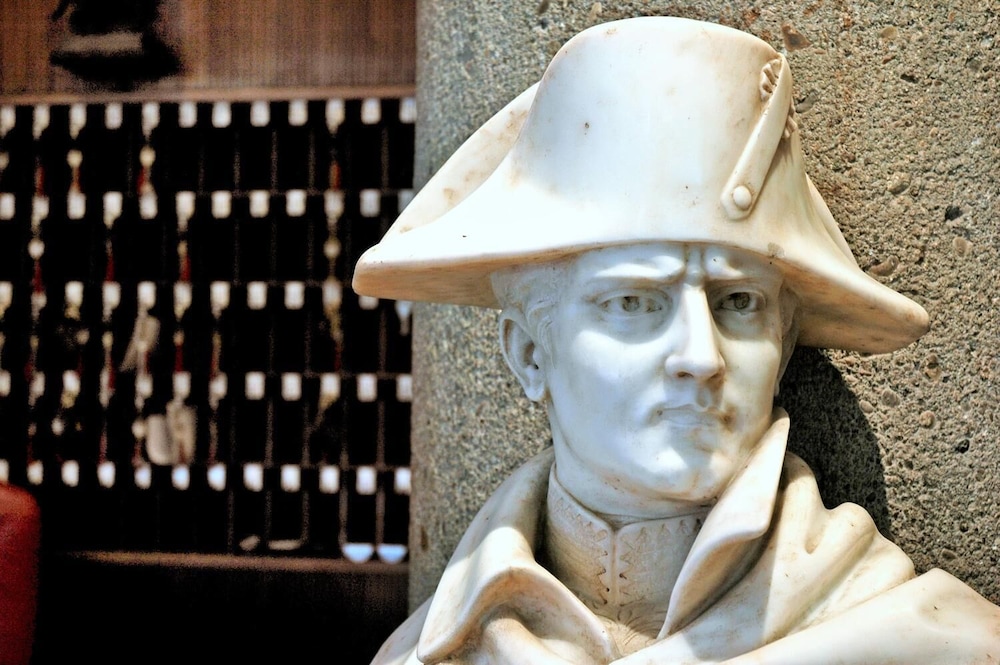 Napoleon 36/60