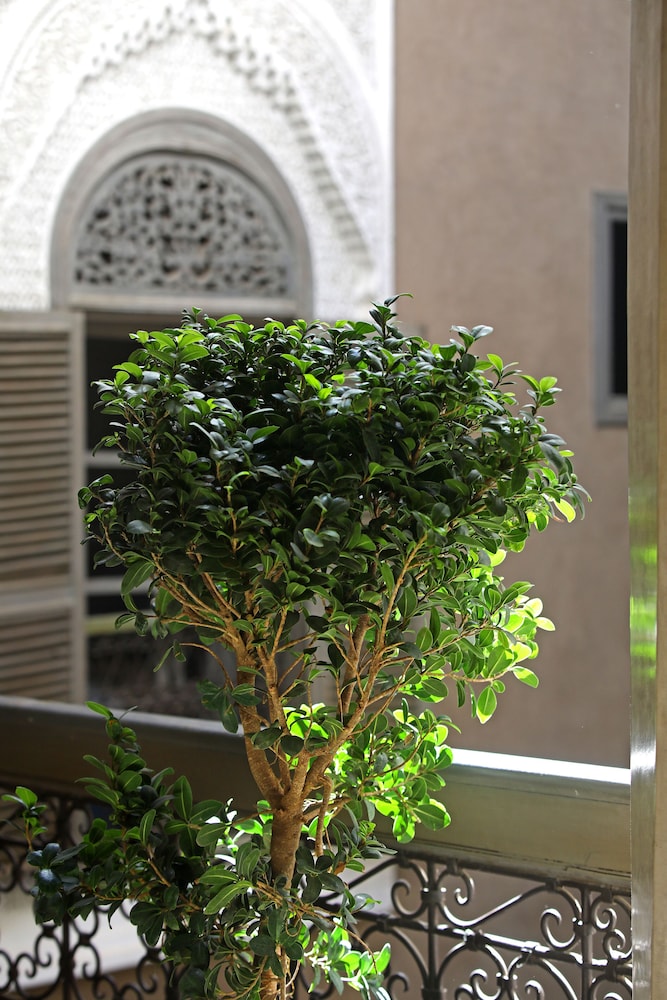 Riad Dar One in MARRAKECH