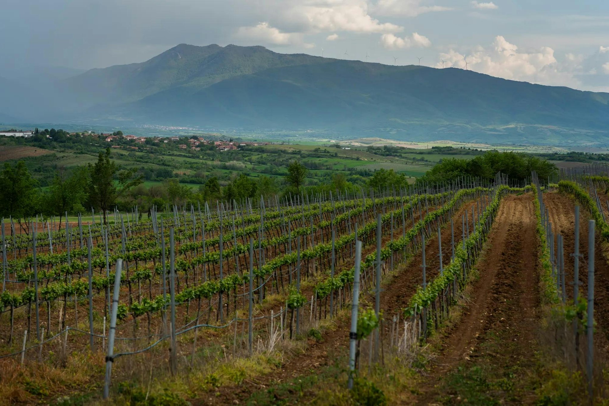 Zornitza Family Estate Relais & Chateaux 43/48