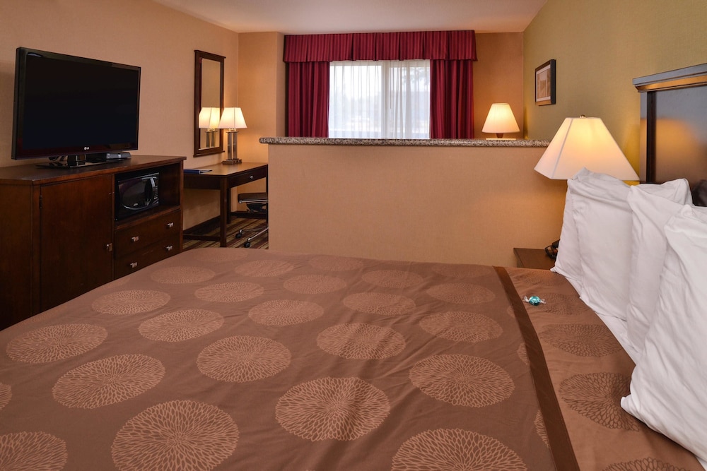 Best Western Wilsonville Inn & Suites 13/28