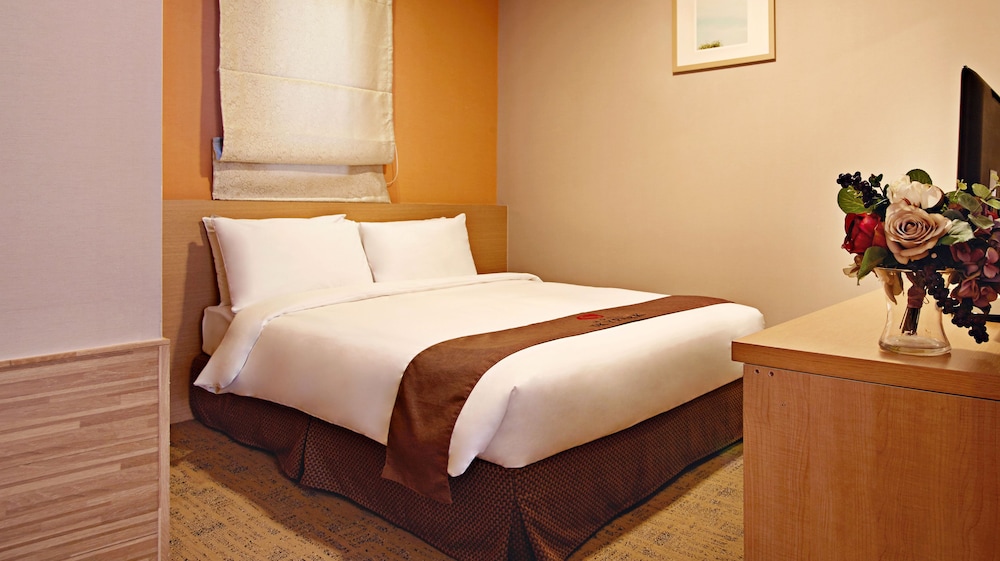 Hotel Skypark Myeongdong Iii Seoul 16/62