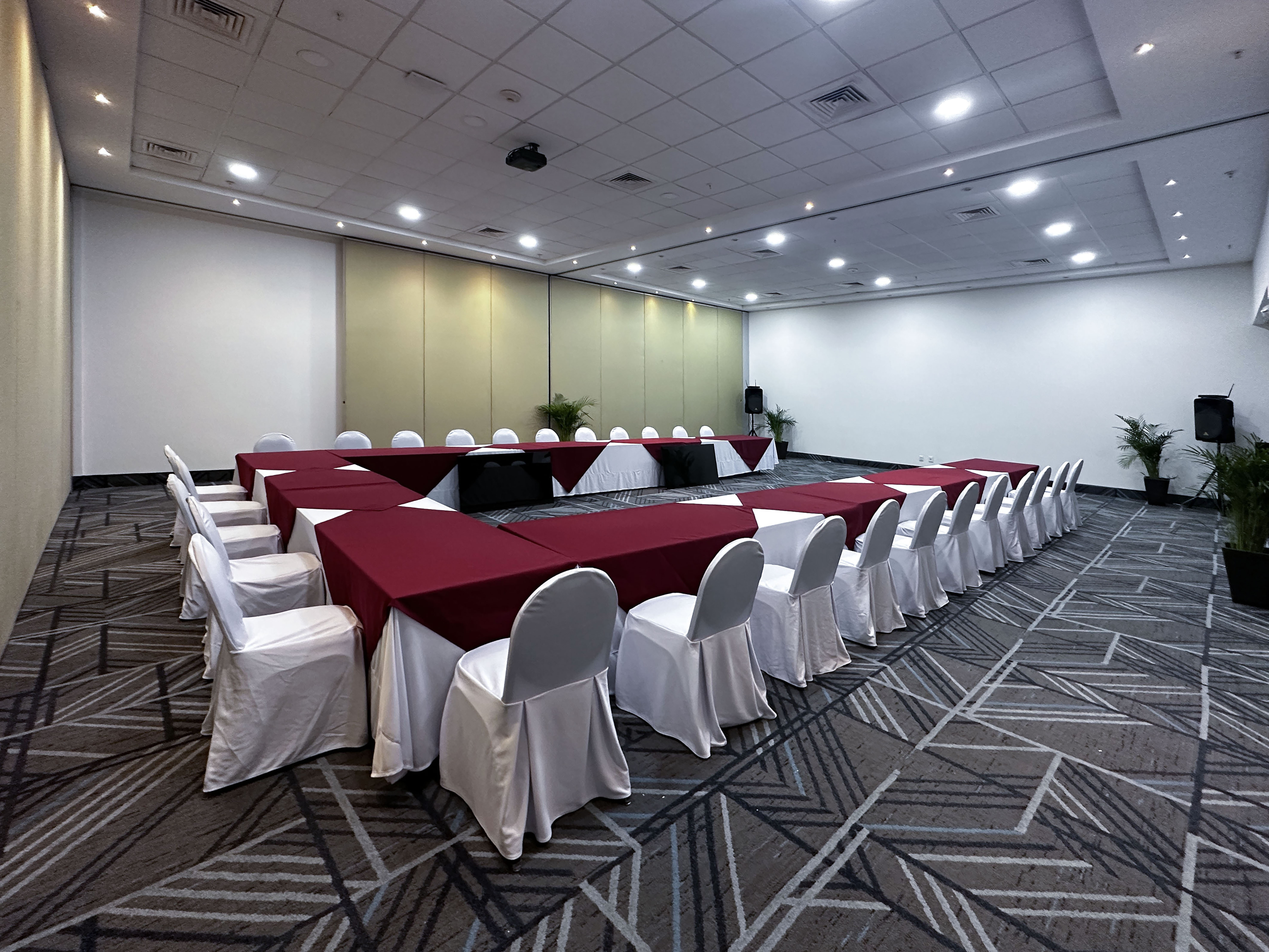 Holiday Inn Express Merida 43/50