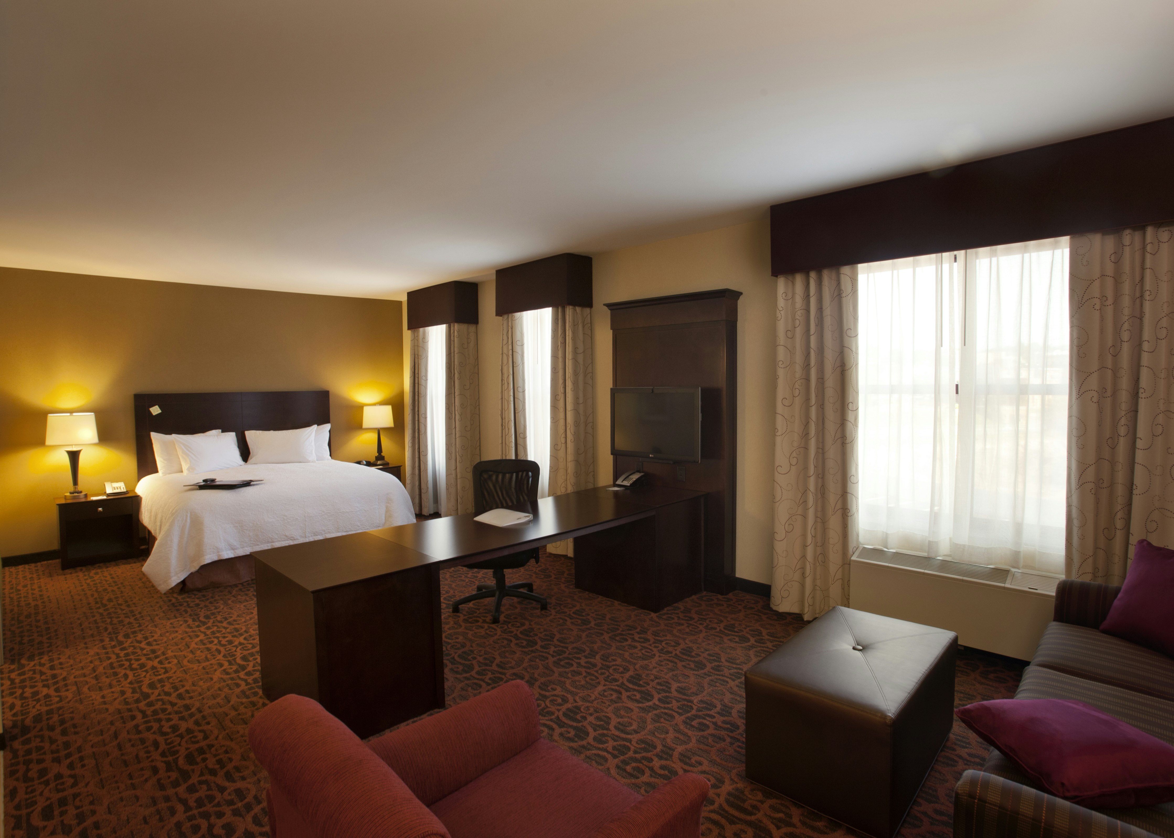Studio, Suite, King Bed