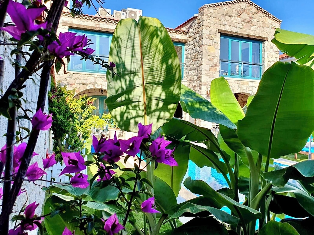 Windmill Alacati Boutique Hotel 41/44