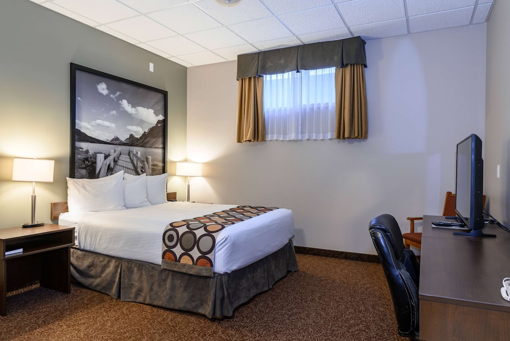 1 Bedroom, Basement, Studio, Suite, Queen Bed