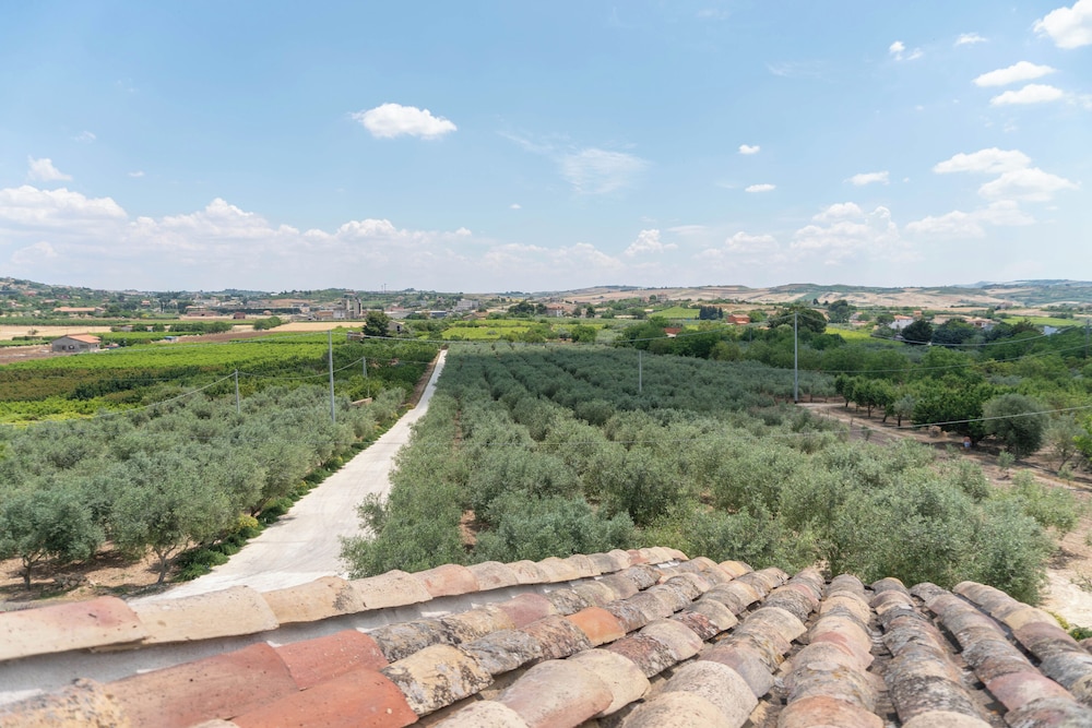 Oikos In Terre Di Zaccanello 42/50
