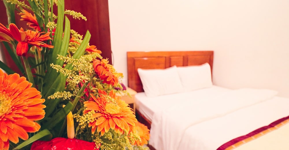 Mai Hoang Hotel 32/70