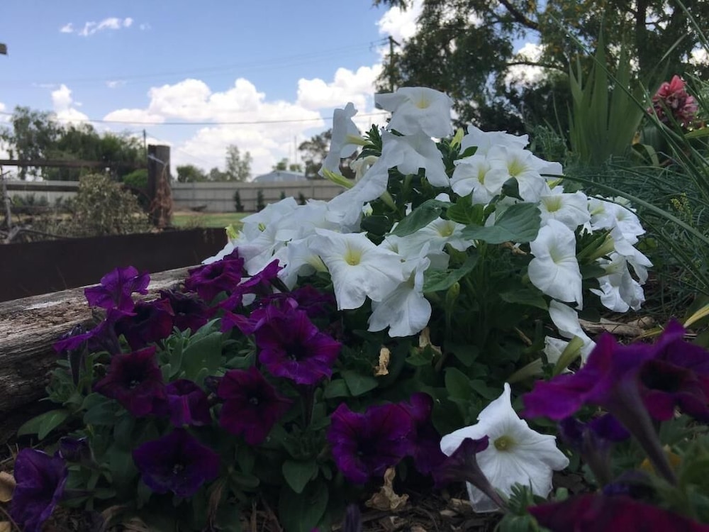 Club Boutique Hotel Cunnamulla 45/50