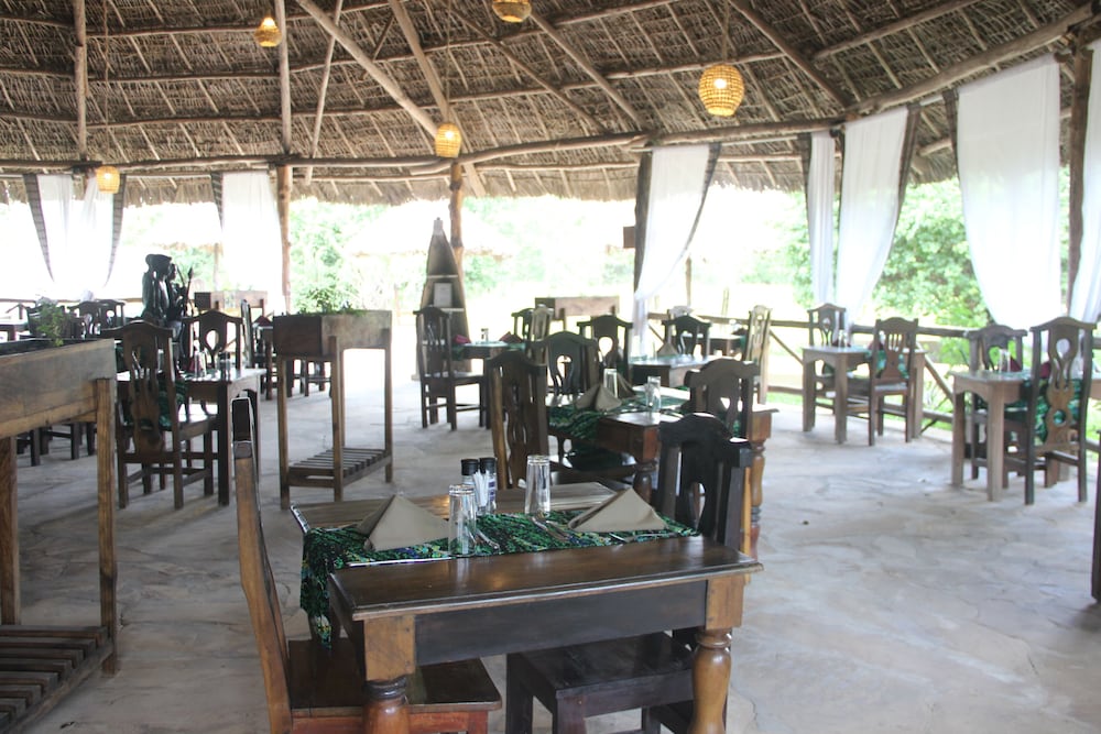 Africa Safari Camp 36/50