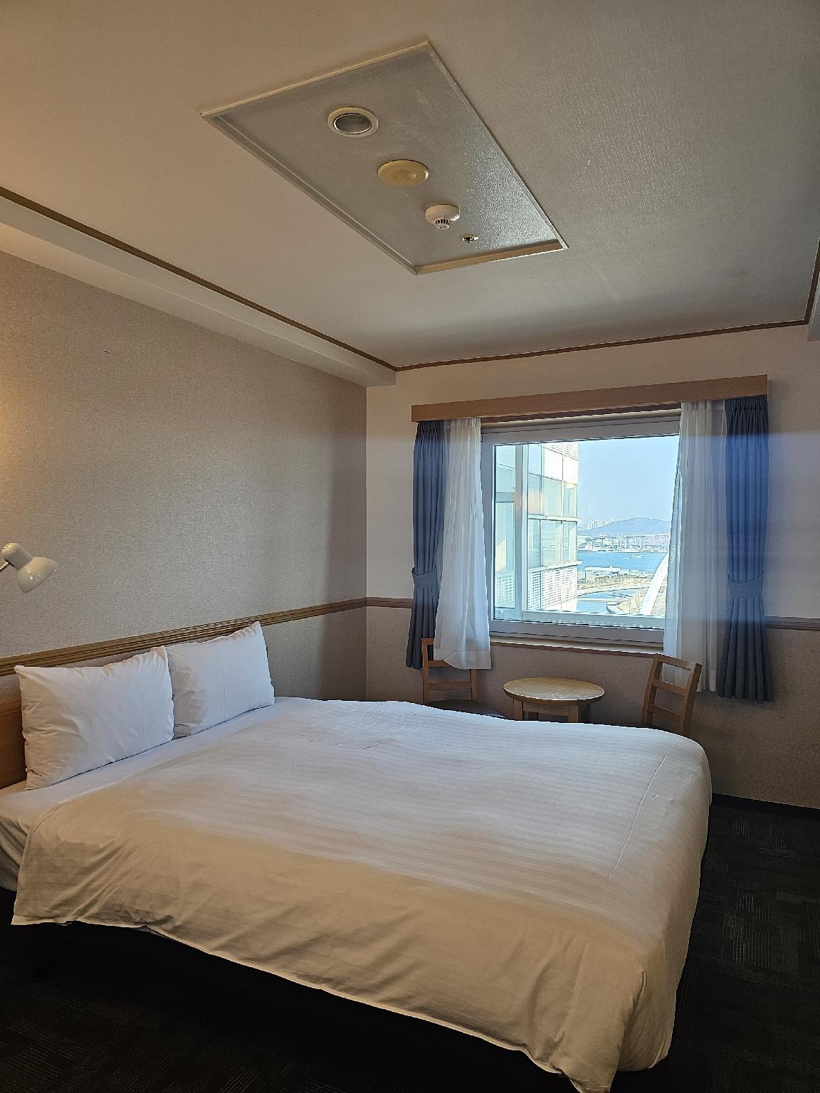 Room, Harbour View