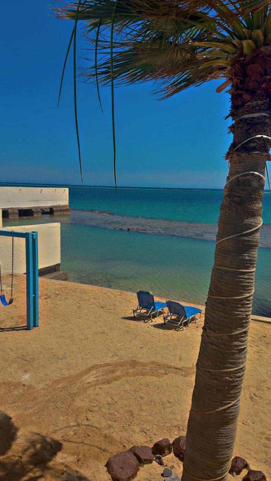 منتجع رضوى رماضه(Radwa Ramada Resort) 81/86