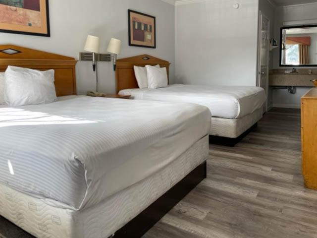 Room, Quadruple, Accessible