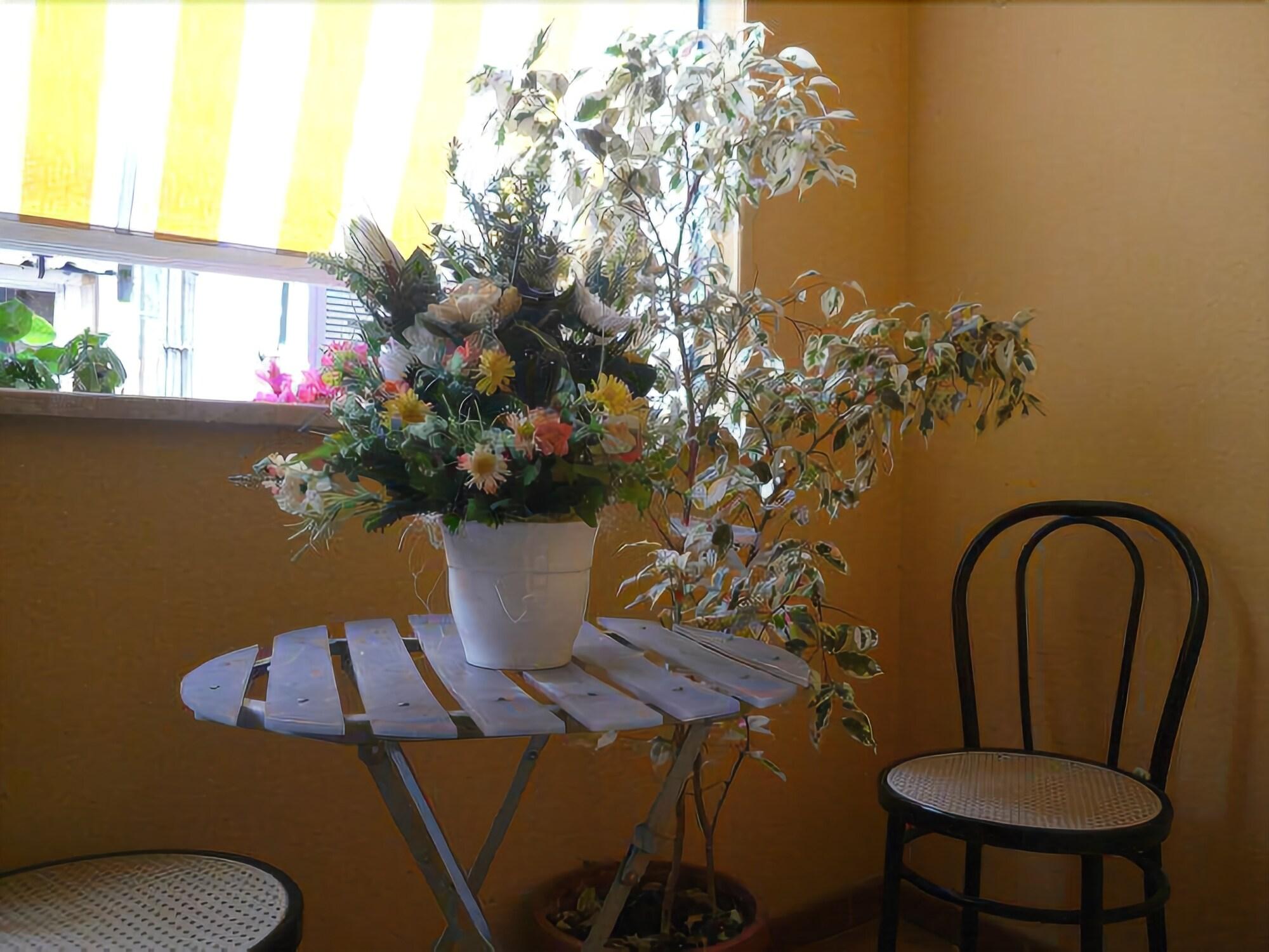 Hotel Fenicia 39/49