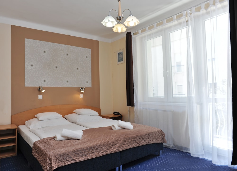 Hotel Papillon 17/50