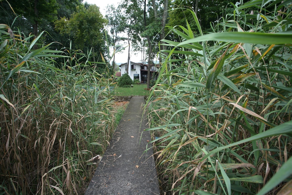 Beta Home Lake House 42/50