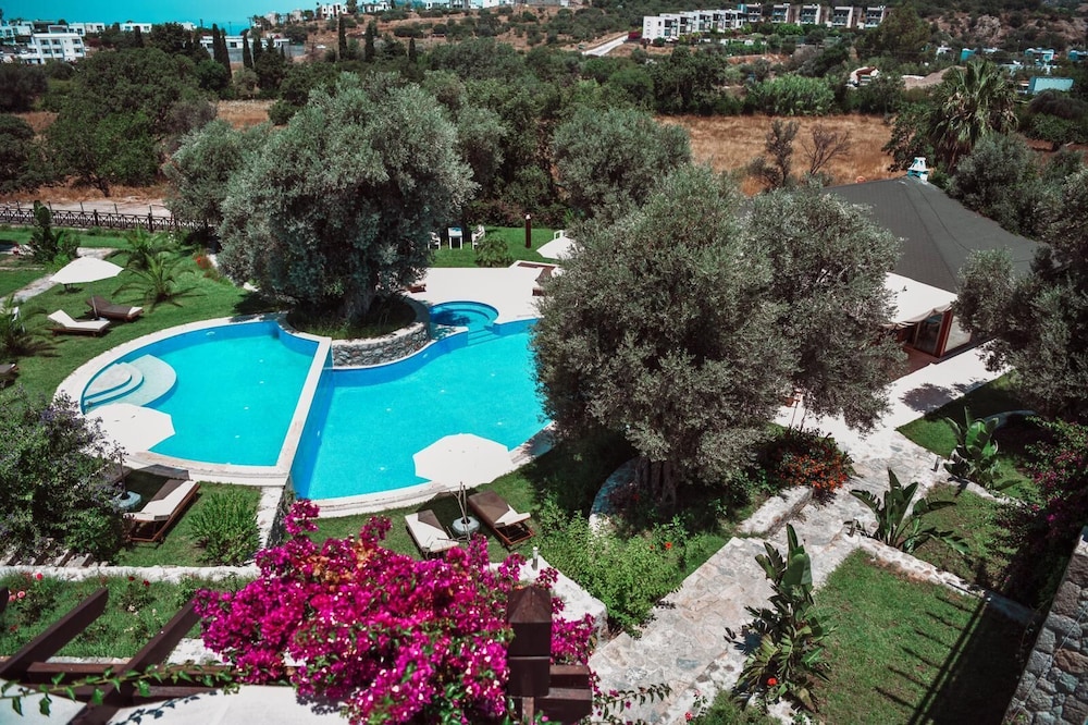Amore Boutique Hotel 24/50