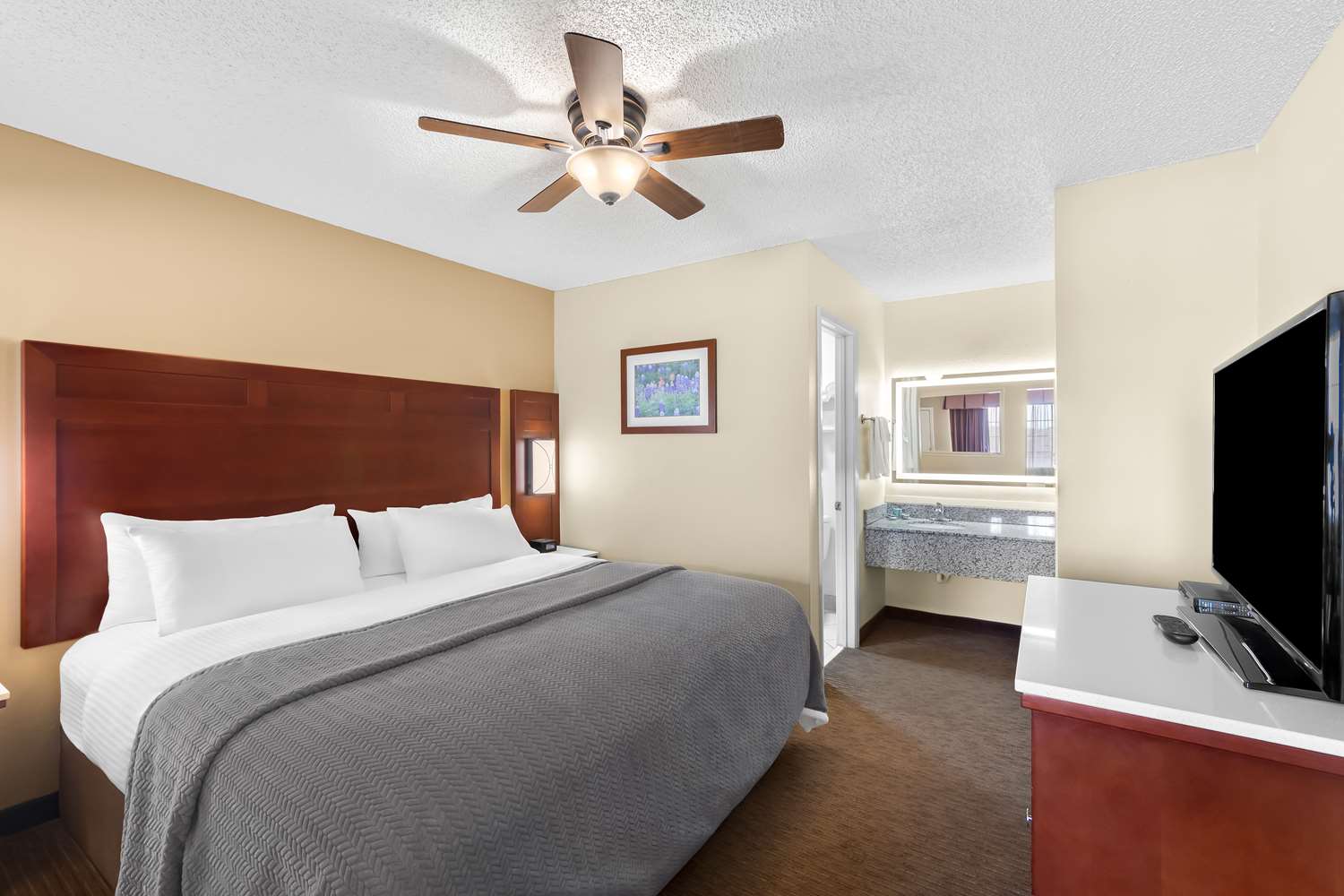 Suite, King Bed, Sofa, Kitchenette
