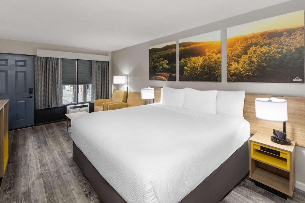 ROOM, KING BED, PET FRIENDLY