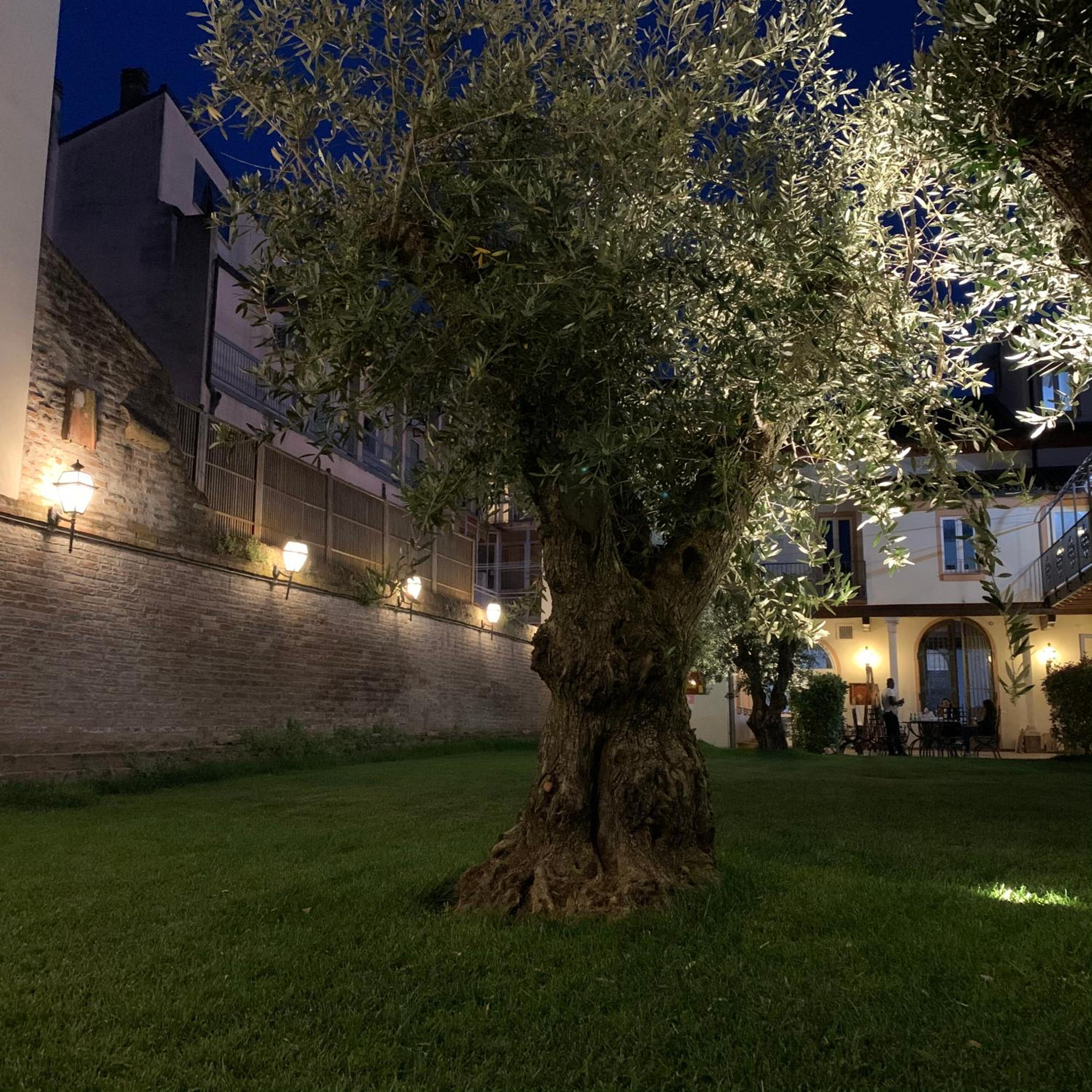 Hotel Principessa Leonora 49/53