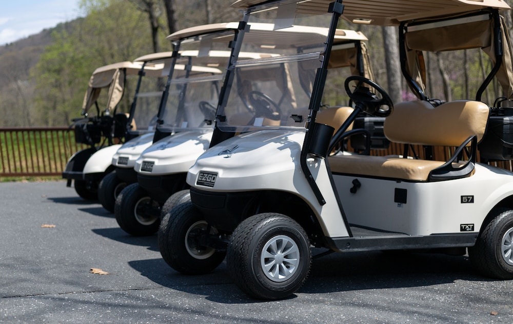 Mountain Villa With Waterpark, Golf, Skiing, Wine Tour Access and More! Massanuttens Shenandoah Vil 41/49