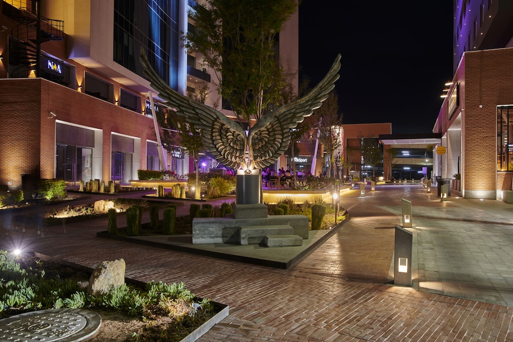 Ibis Torreon 45/49