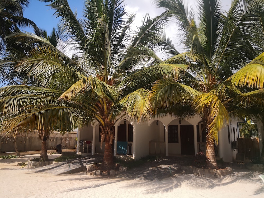 Mambo Ocean Resort 37/50