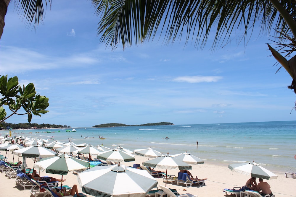 Banana Fan Sea Samui 62/74