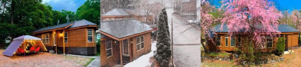 Hakuba Canadian Lodge 40/50