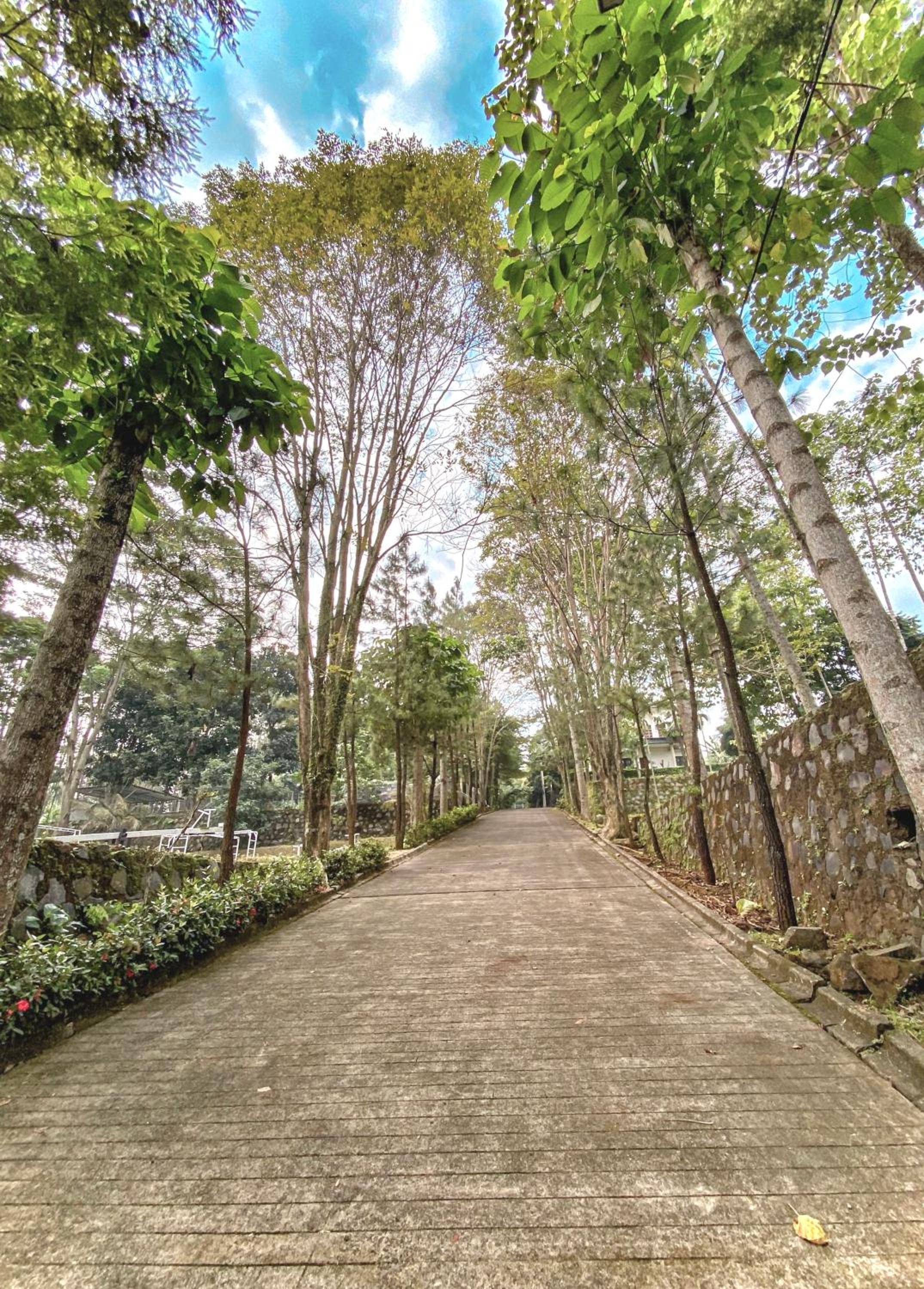New Green Sentul Resort 31/38