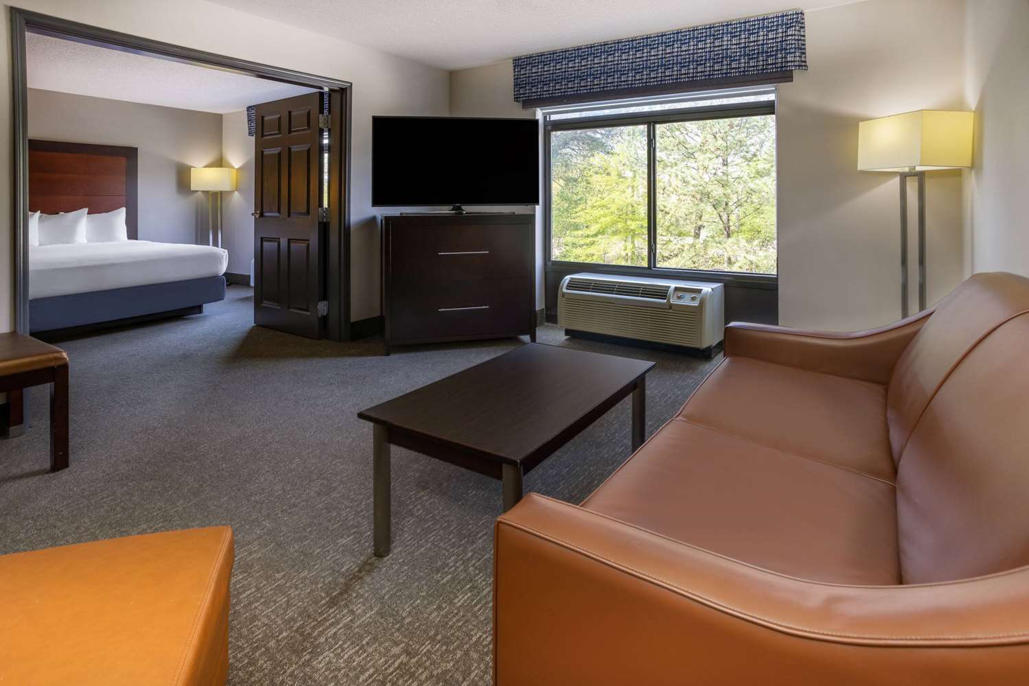 Wingate by Wyndham Atlanta Galleria Ballpark 28/50