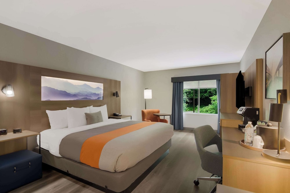 Graystone Lodge, an Ascend Collection Hotel 15/50