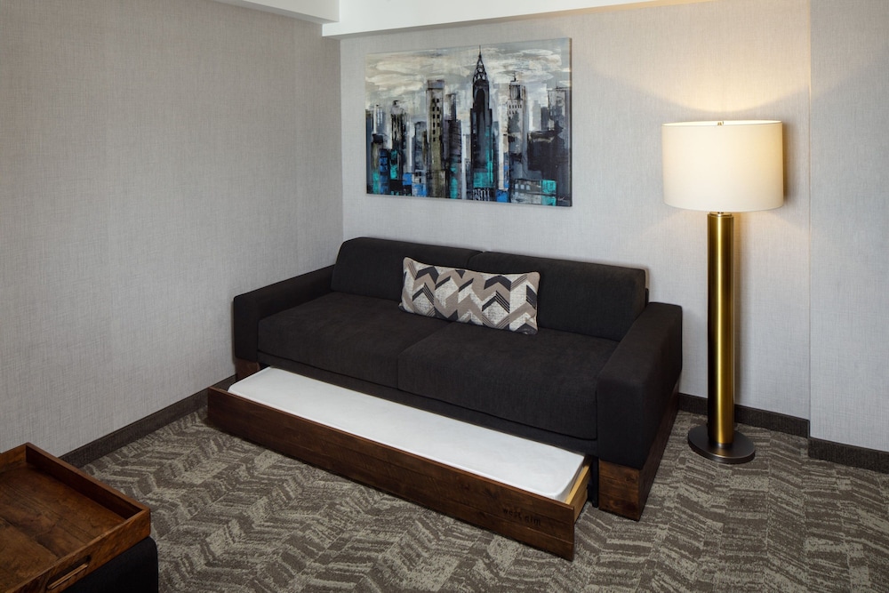 SpringHill Suites By Marriott New York JFK Airport/Jamaica 11/30