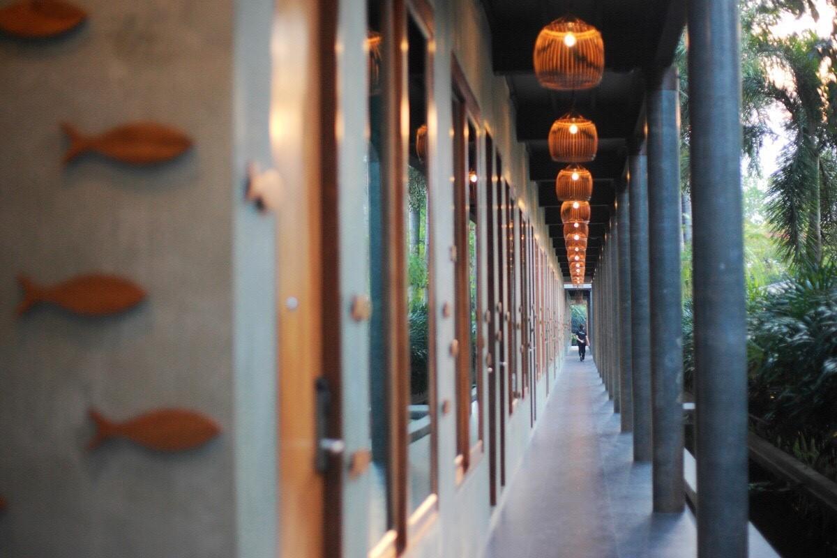 The Buffalo Amphawa 3/54