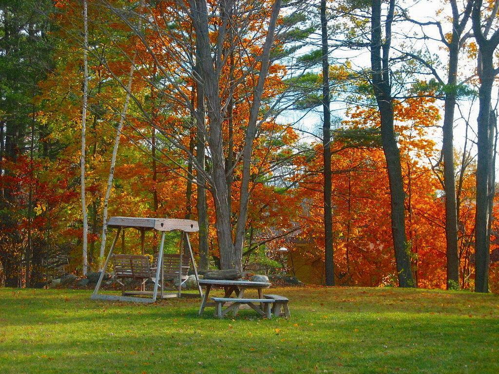 surroundings
