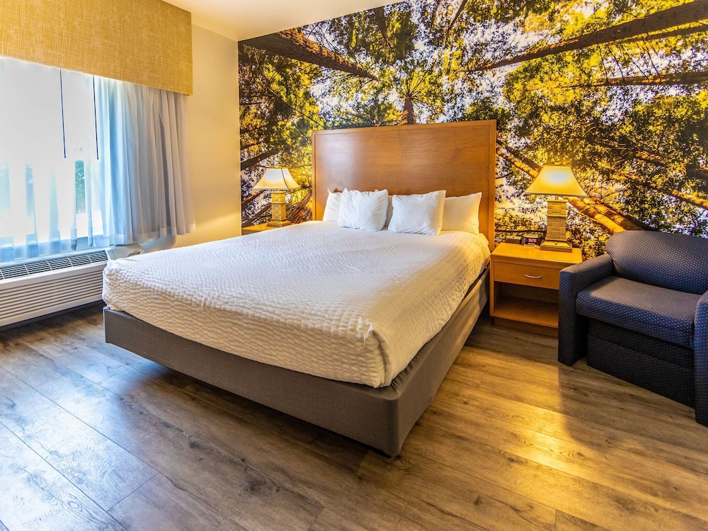 Standard, King Bed