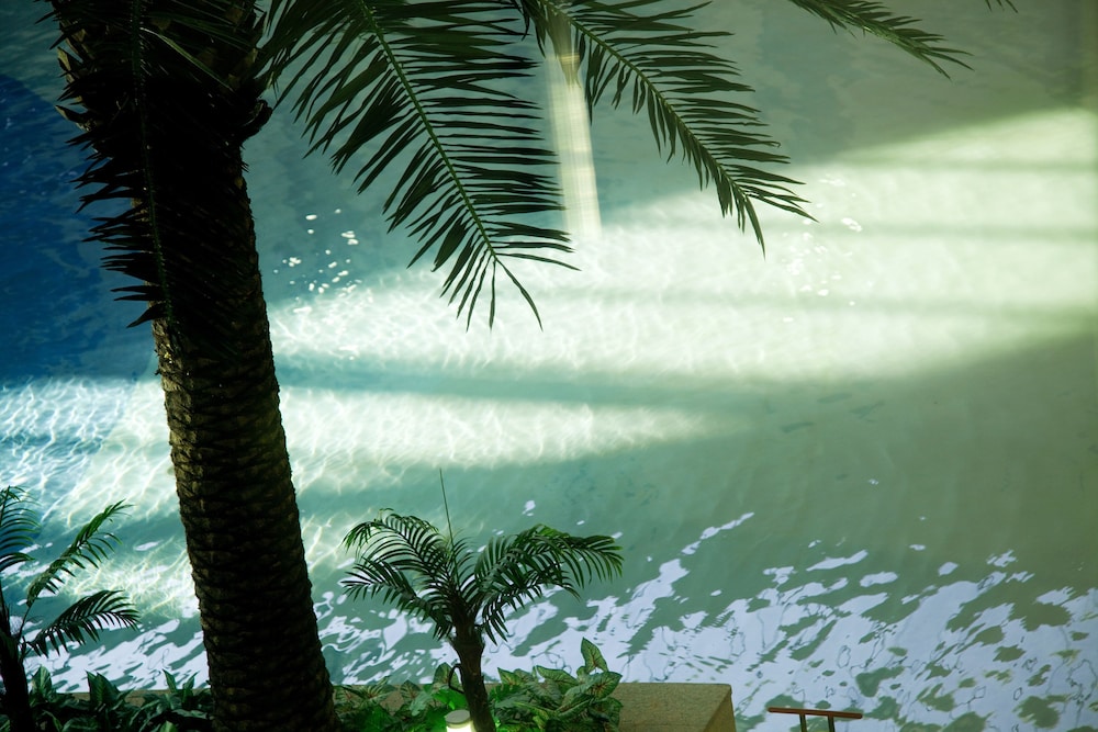Lotte Resort Buyeo 66/67