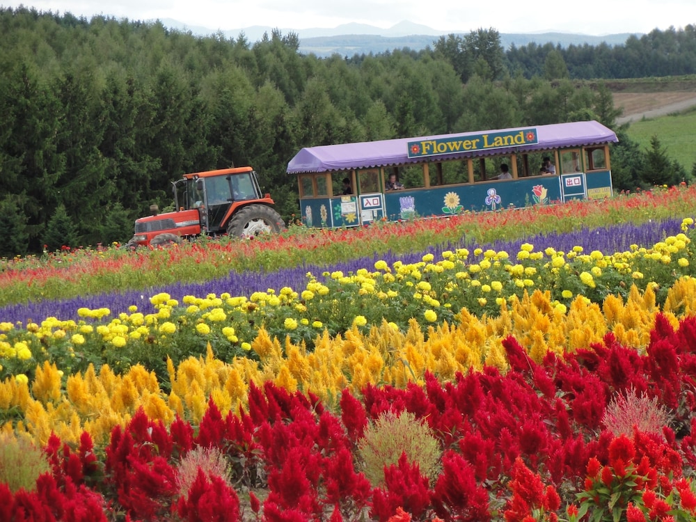 SPA & HOTEL RESORT Furano Laterre 2/54