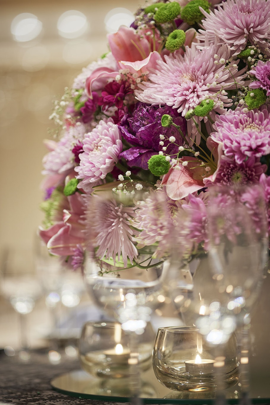 Taj Wellington Mews 24/55