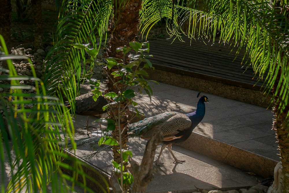 Pousada Chacara Rio Jordao 39/50