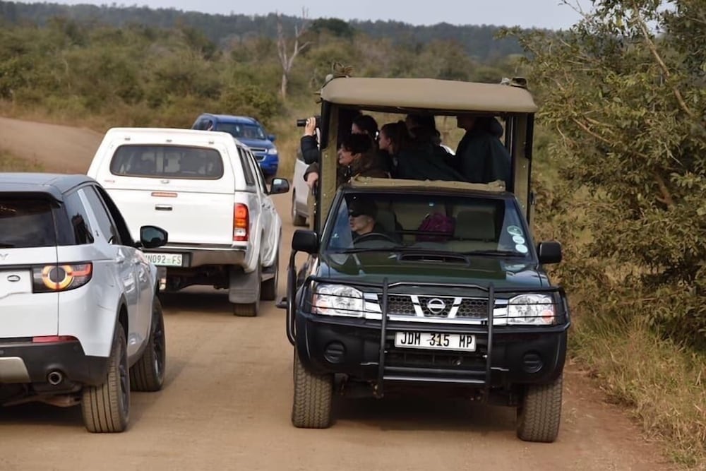 Imbube Safari Lodge 40/50