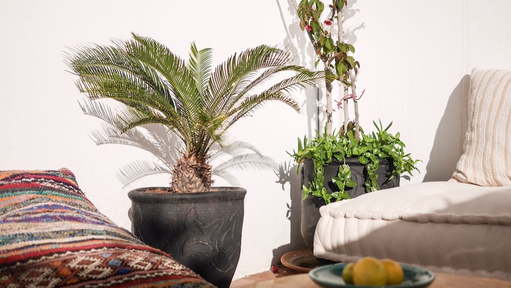 Boho 27 Hostel Marrakech 42/44