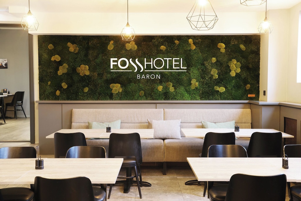 Fosshotel Baron 39/50