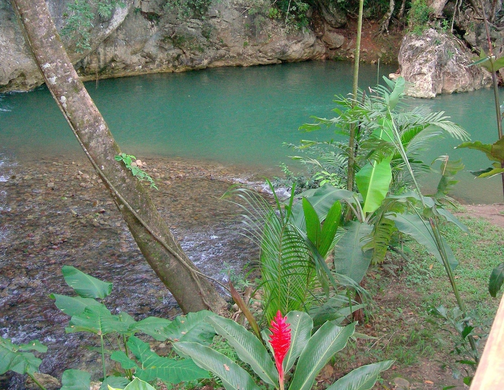 Table Rock Jungle Lodge 60/65