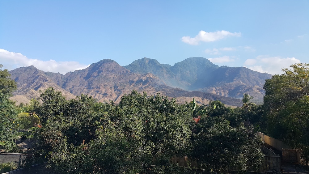 Mango Tree Inn 35/47